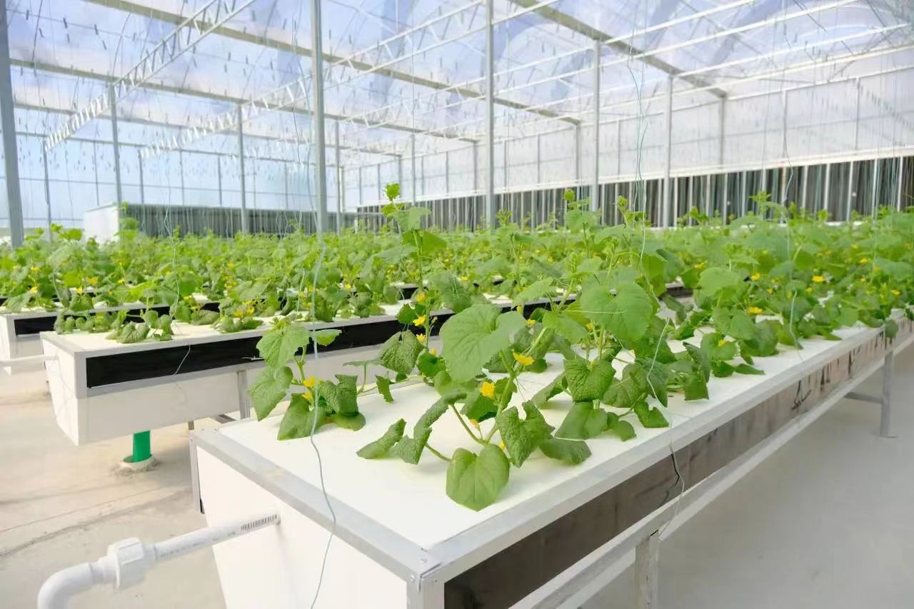 EVO真人(中文)官网